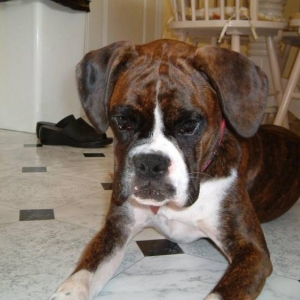 My cute baby