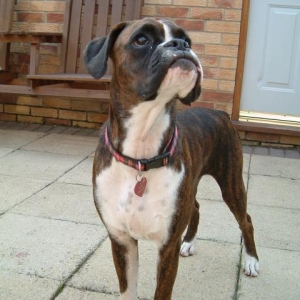 I'm much cuter this side!
