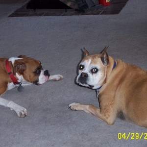 Jewel & Cleo playing