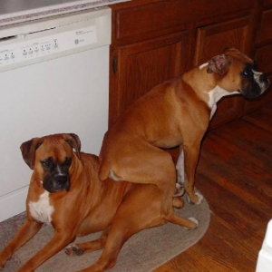 Jenny & Calla relaxing