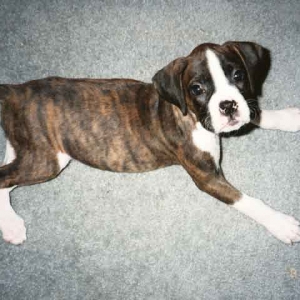 Kaylee