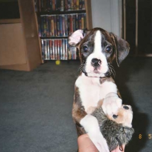 Kaylee and Sonic