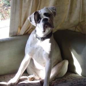 Sittin on my butt in the sun