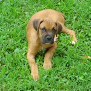 Our New Addition