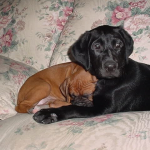 Belle & Max