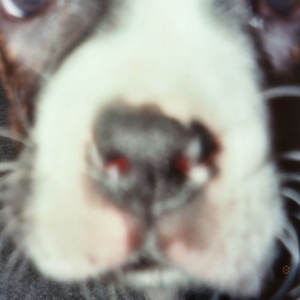 Up Close