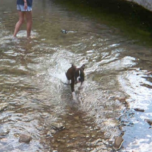 First time in water!