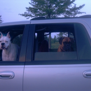 Come on mom hurry up or we are leaving without Yea!!