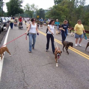 Bark n The Park Aug 29th