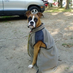 Campin' Girl