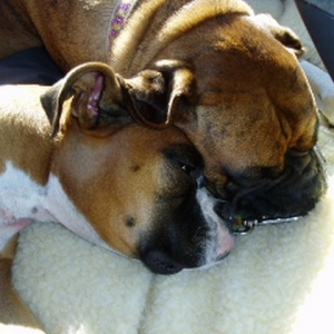 Bonnie and Maxine