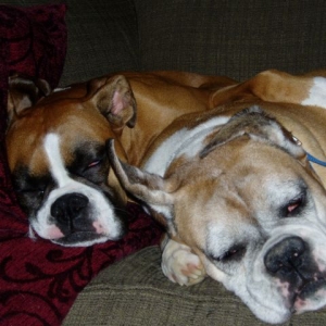 Diamond and Maxine