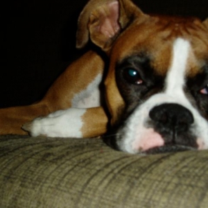 Another Picture Ma?