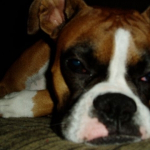 Puh Leeez!!! I'm TRYING to sleep here!