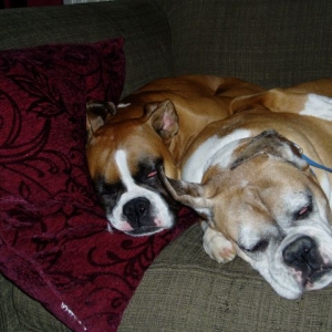 Another Diamond and Maxine