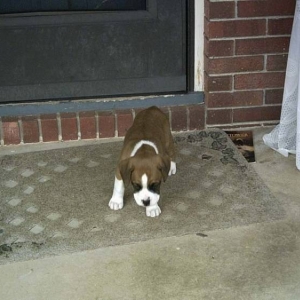 Sammie - 1st Day
