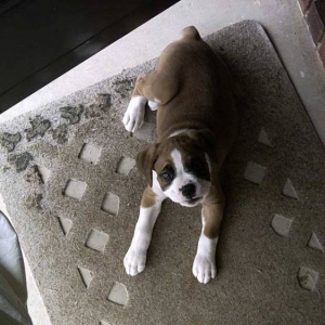 Sammie - Day 1