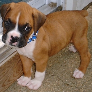 My first day home