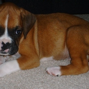 ME? CUTE? NOWAY!