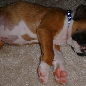 REALLY I HAVE MORE ENERGY THAN THIS!!