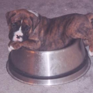 Champ_4