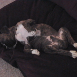 IT DOESNT GET ANY BETTER THAN THIS!