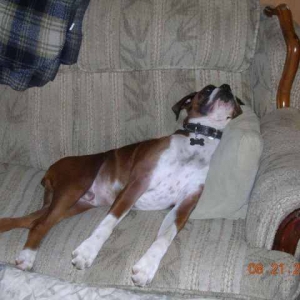 its my couch dad