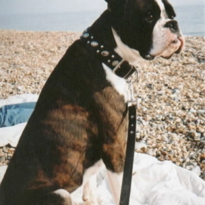Spike On The Beach