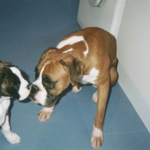 Buffy & Baby Spike