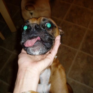 Chester