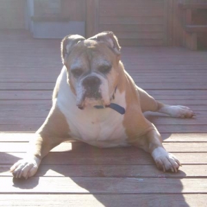 Pretty Old Lady