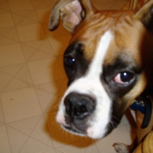 Awww....look at that face!