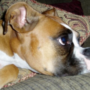 Maxi's Profile