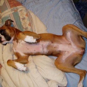 Maxi's favorite position!!