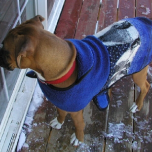 Charlie in his sweater