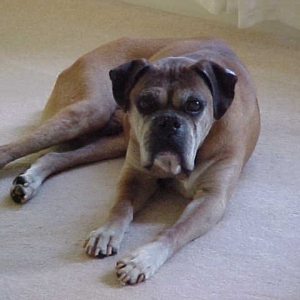 Bo...13 year old boy