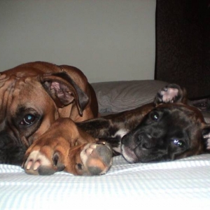What a cute couple!