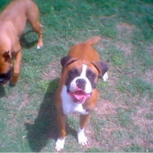 my girls