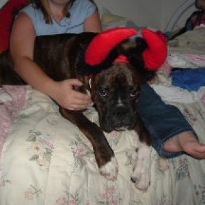oz in his costume