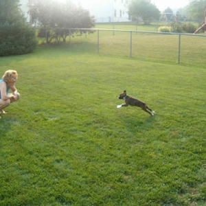 Action shot