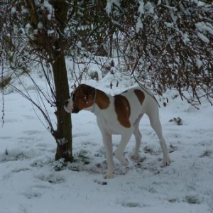 winter