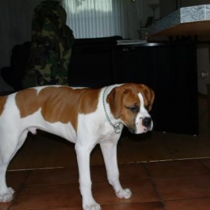 tyson2