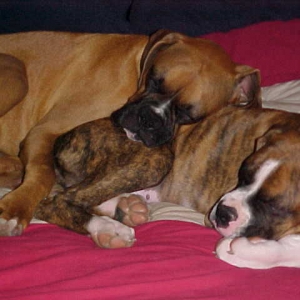 Time for a Nap