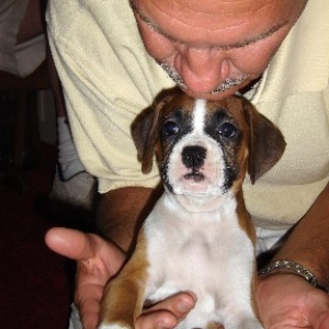 Roxie & Her New Daddy