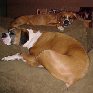 Nap Time