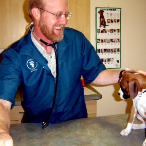 Roxie's 1st Vet Exam!