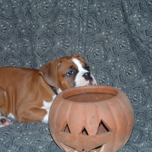 My head is so heavy !