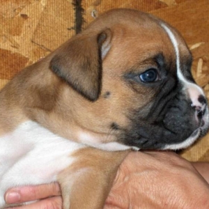 Our baby