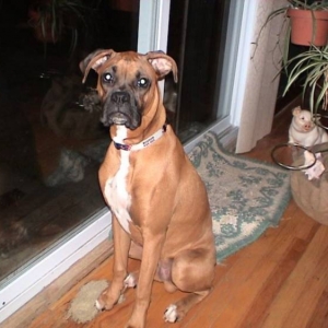 Ace wants to go out