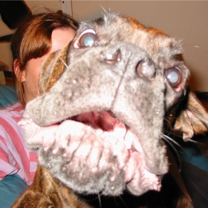 woof!